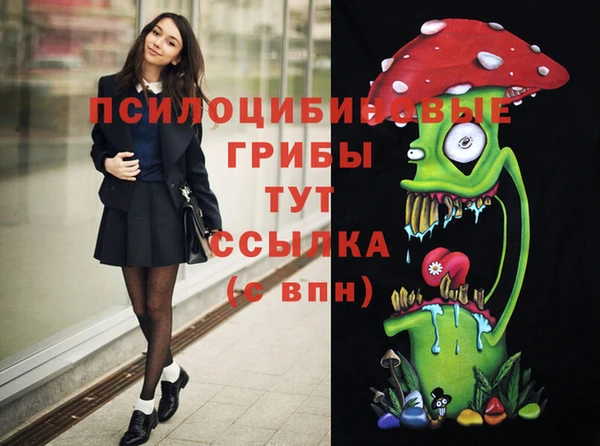 сатива Абаза
