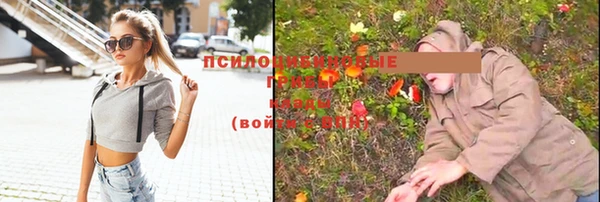 мескалин Абинск