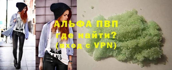 сатива Абаза
